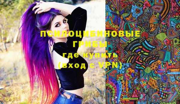 марки lsd Абаза