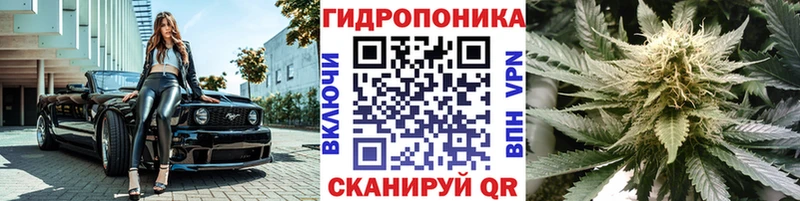 omg ССЫЛКА  купить наркоту  маркетплейс официальный сайт  Канабис сатива  Электроугли 
